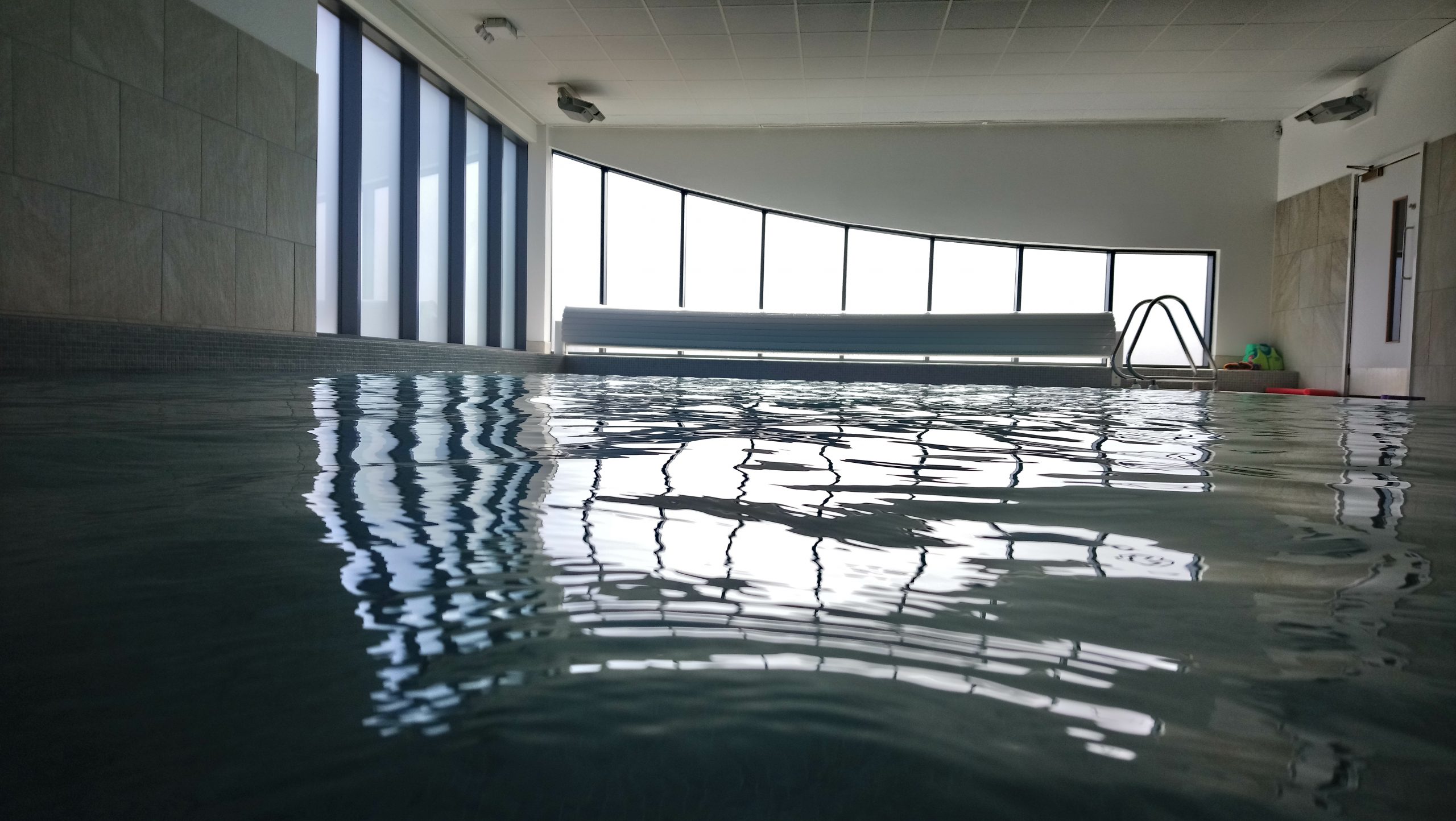 DSC_1487 The Fish Tank